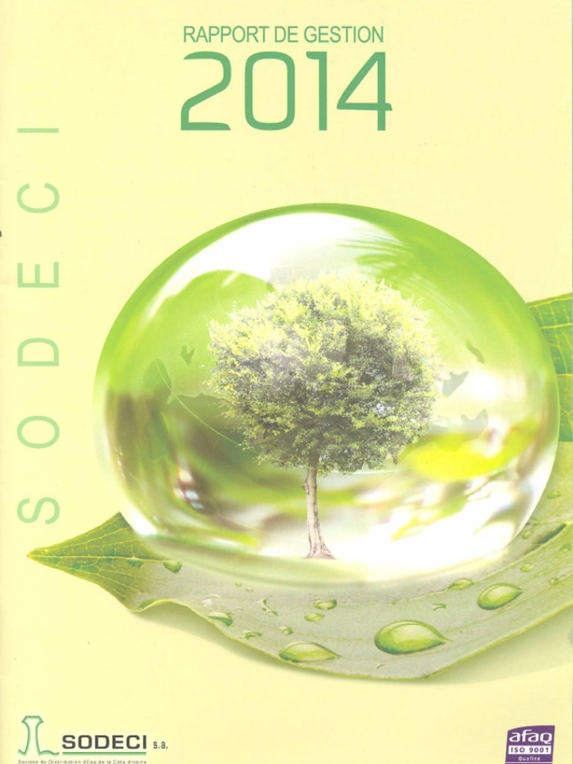Rapport de gestion 2014