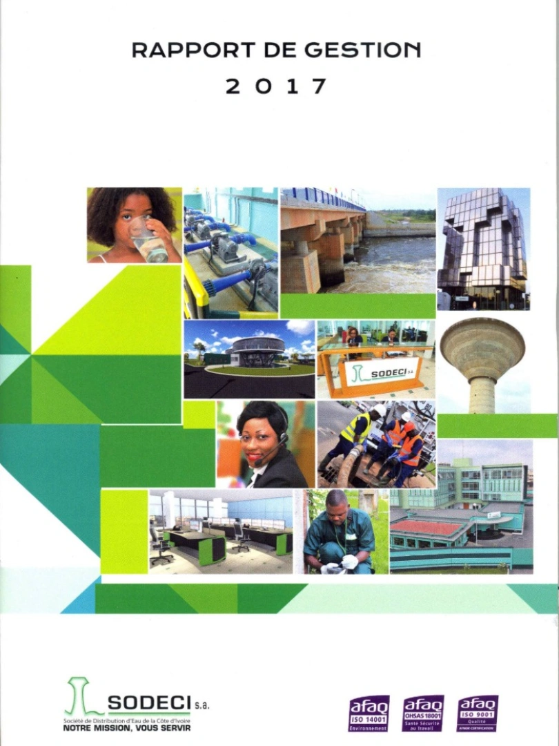 Rapport de gestion 2017