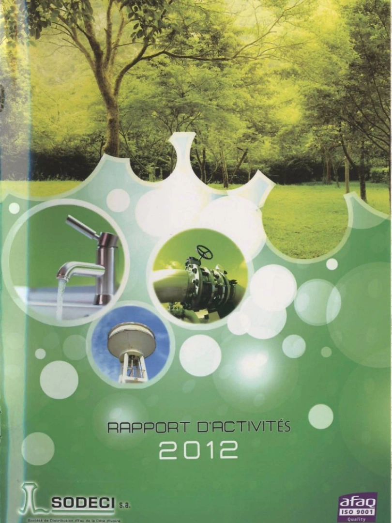 Rapport de gestion 2012