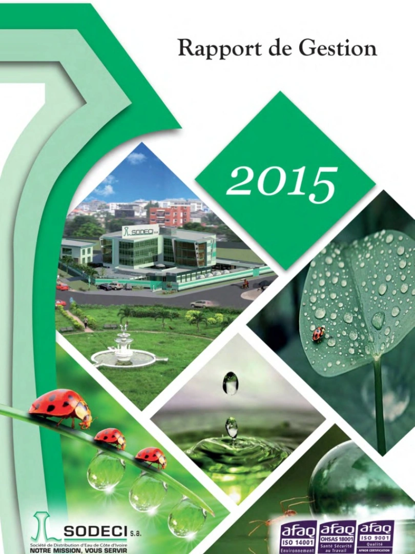 Rapport de gestion 2015